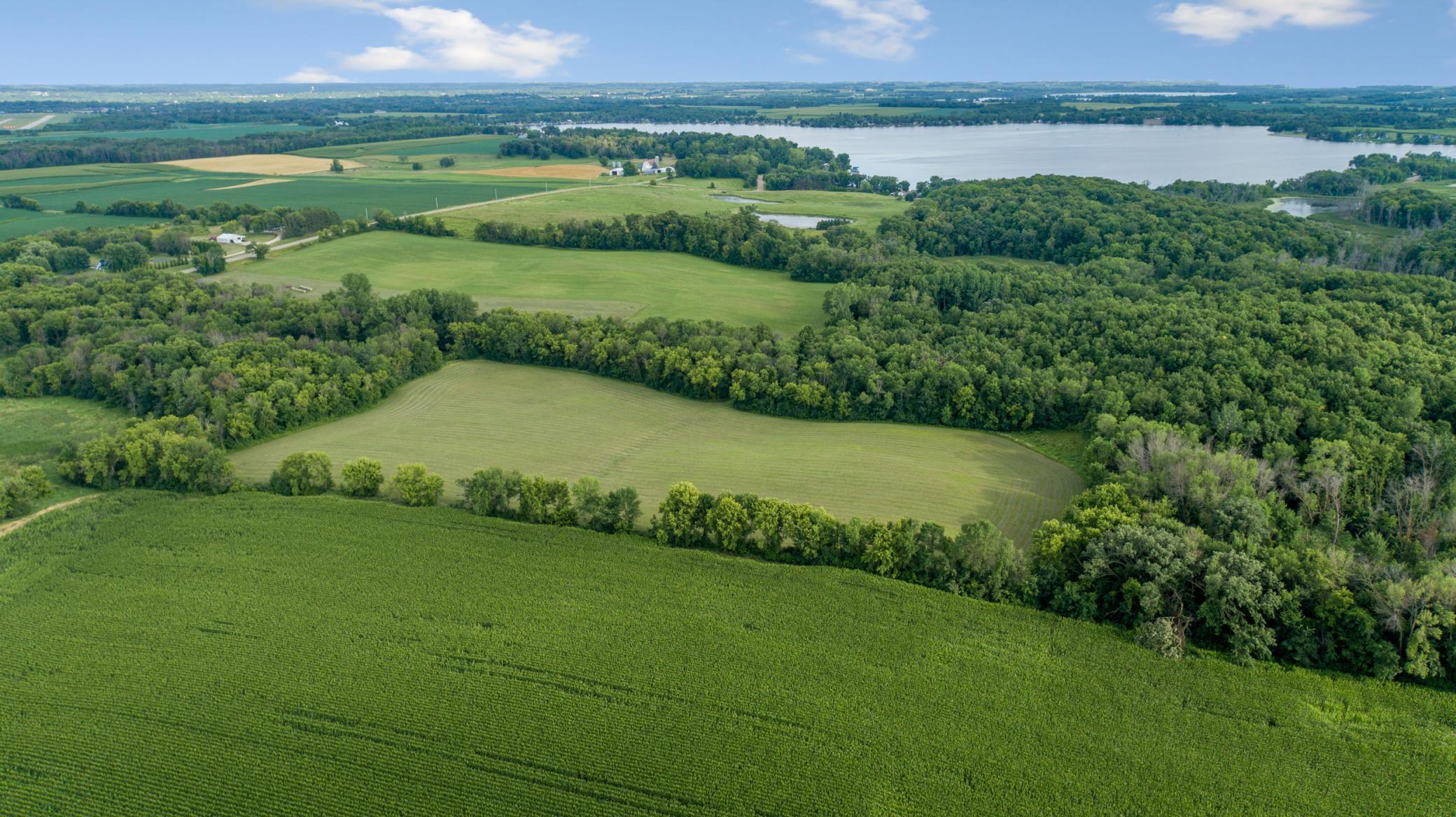 aerial 11.jpg