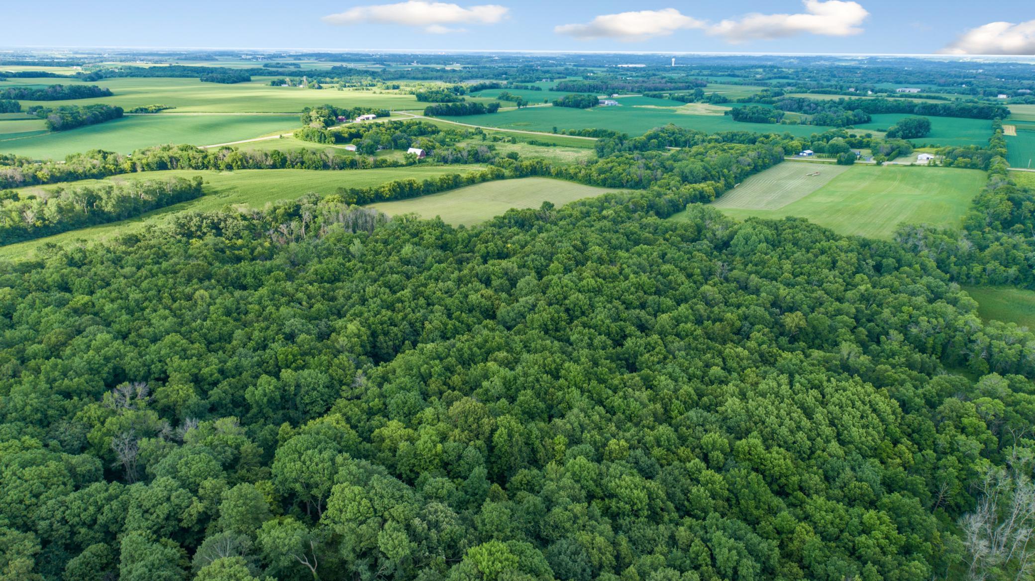 aerial 8.jpg