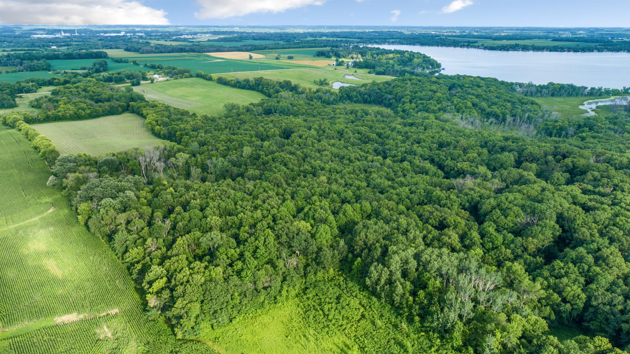 aerial 9.jpg