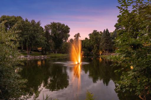 This breathtaking water feature illuminates the pond at night!