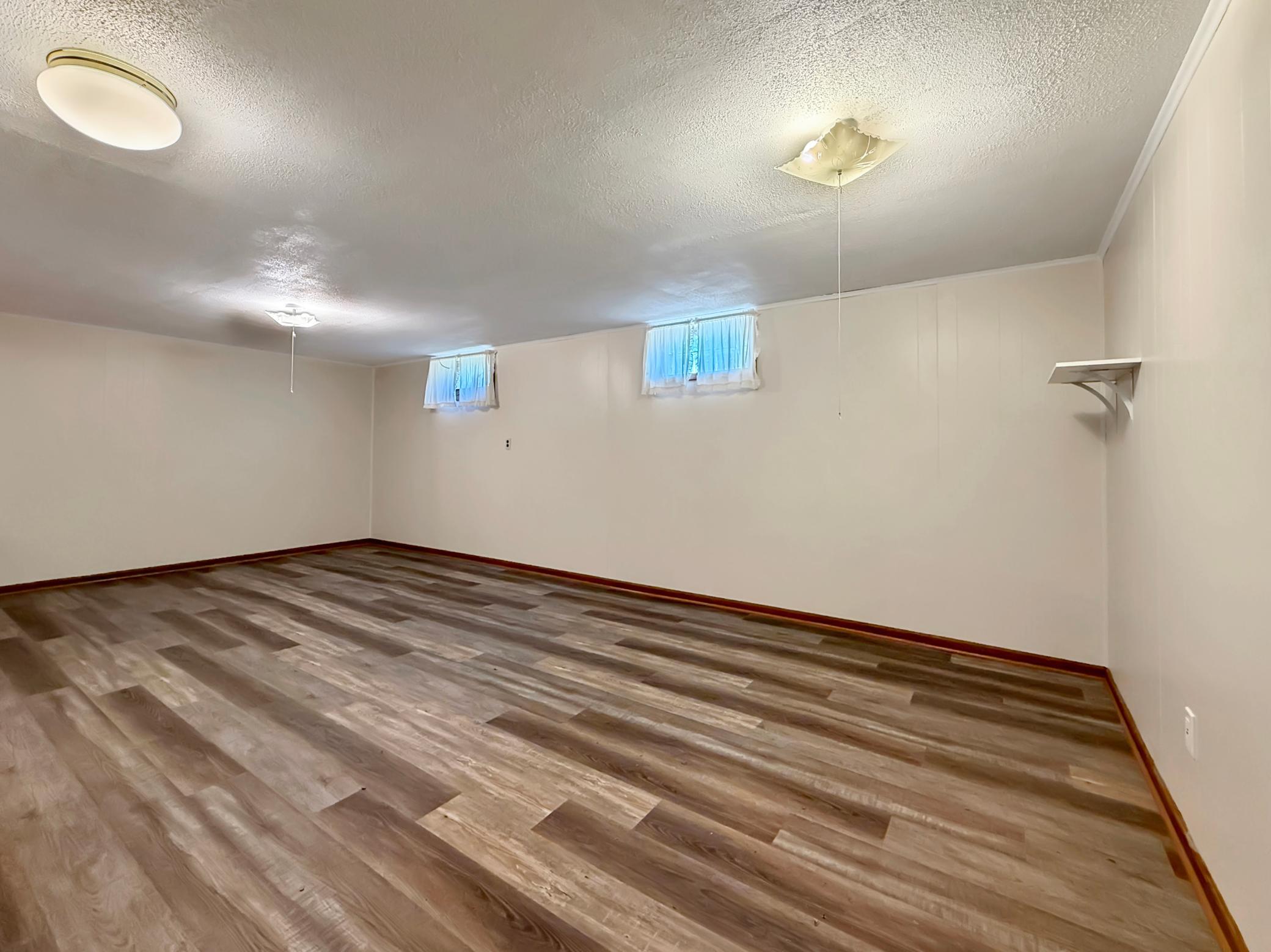 Lower Level Living Room