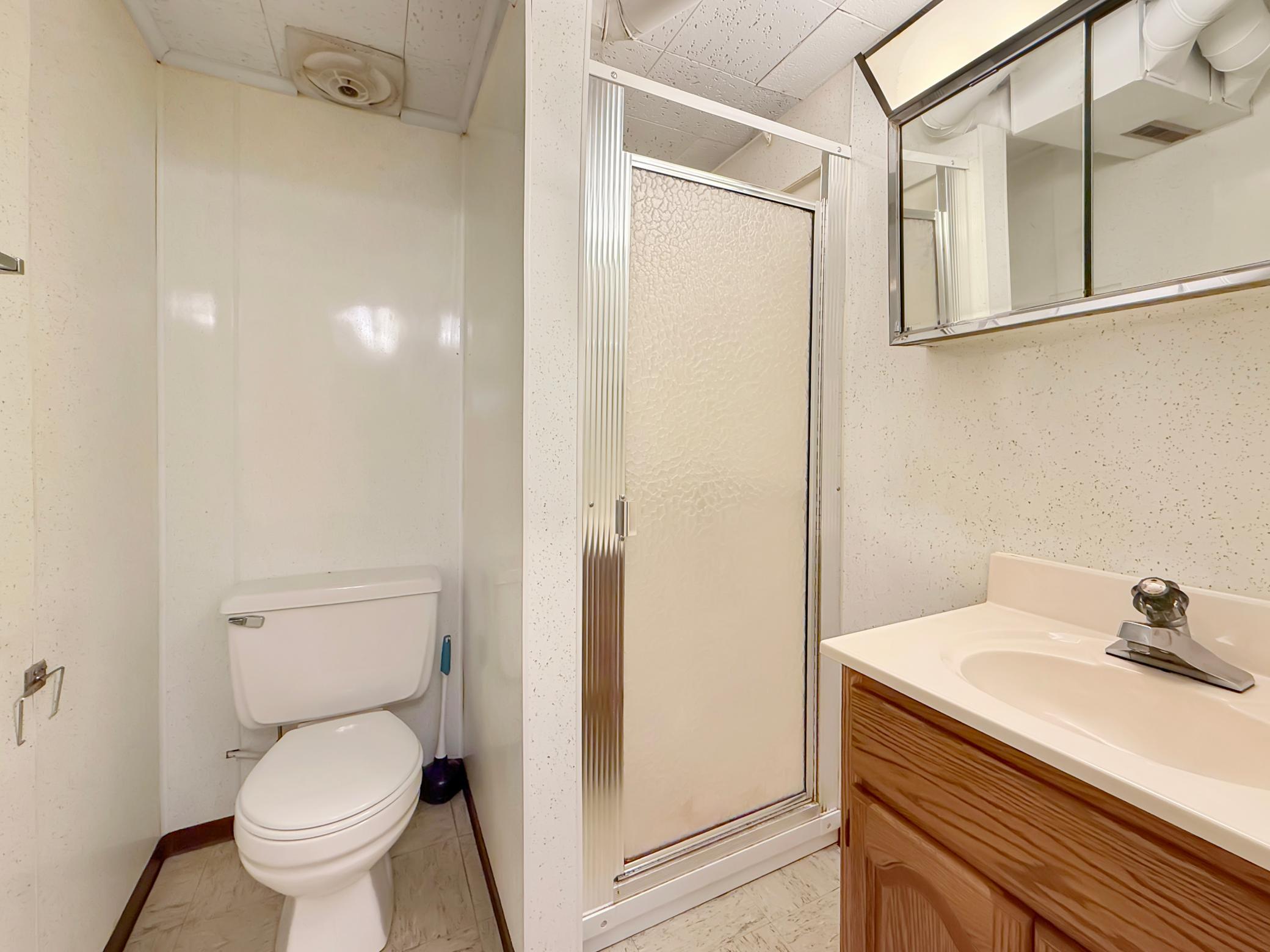 Lower Level Bathroom
