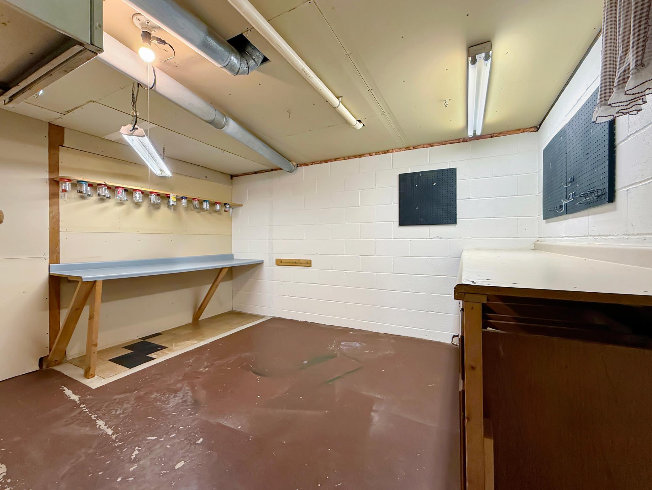 Lower Level Flex Room