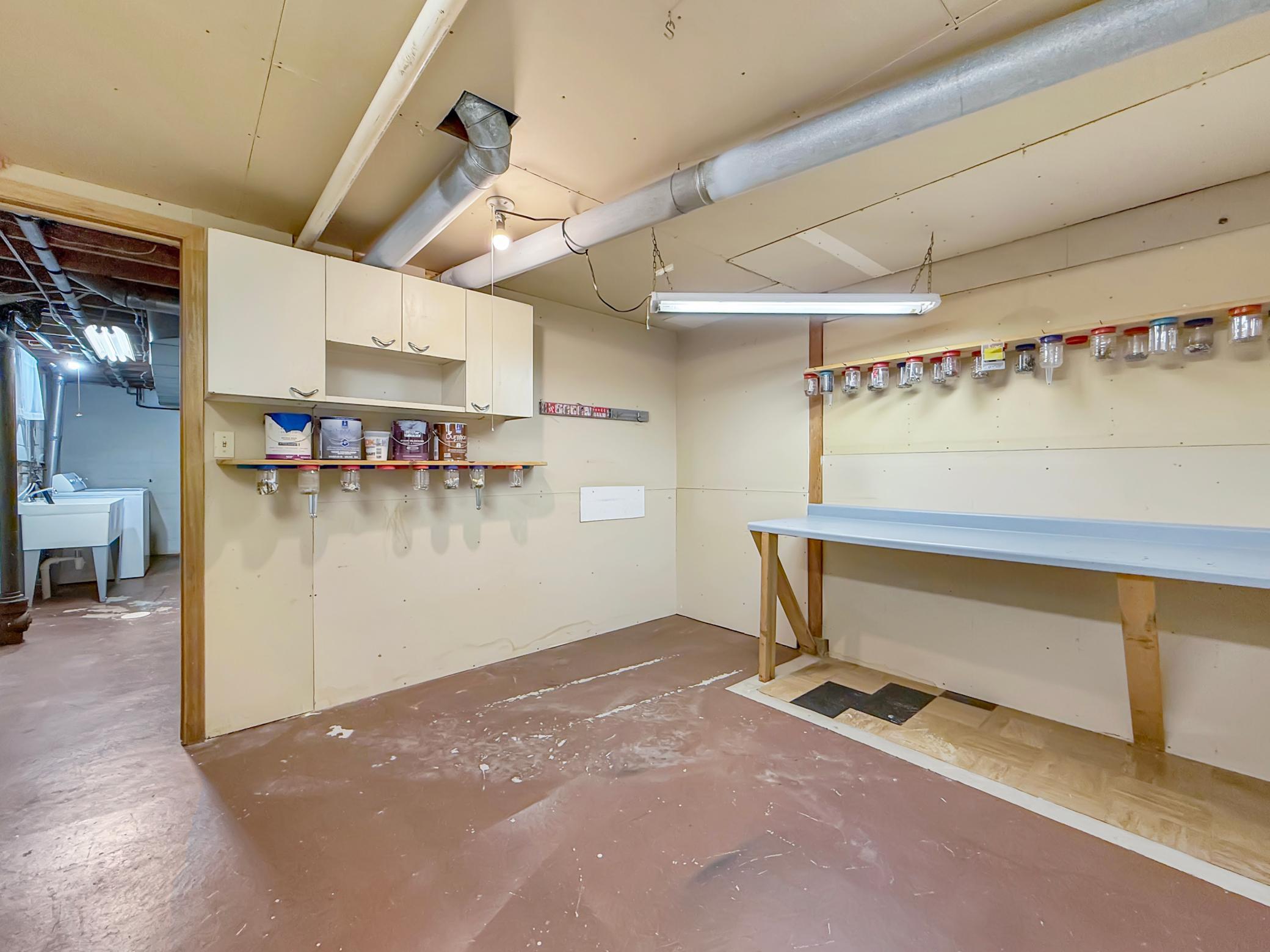 Lower Level Flex Room