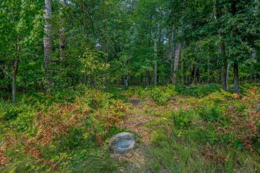 19400 Edelweiss Drive, Nevis, MN 56467