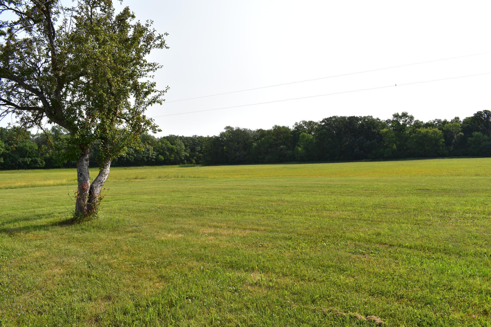 DSC_1585.JPG