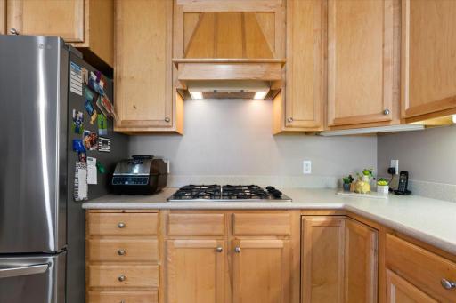 1940 Fulham Street, 207, Roseville, MN 55113
