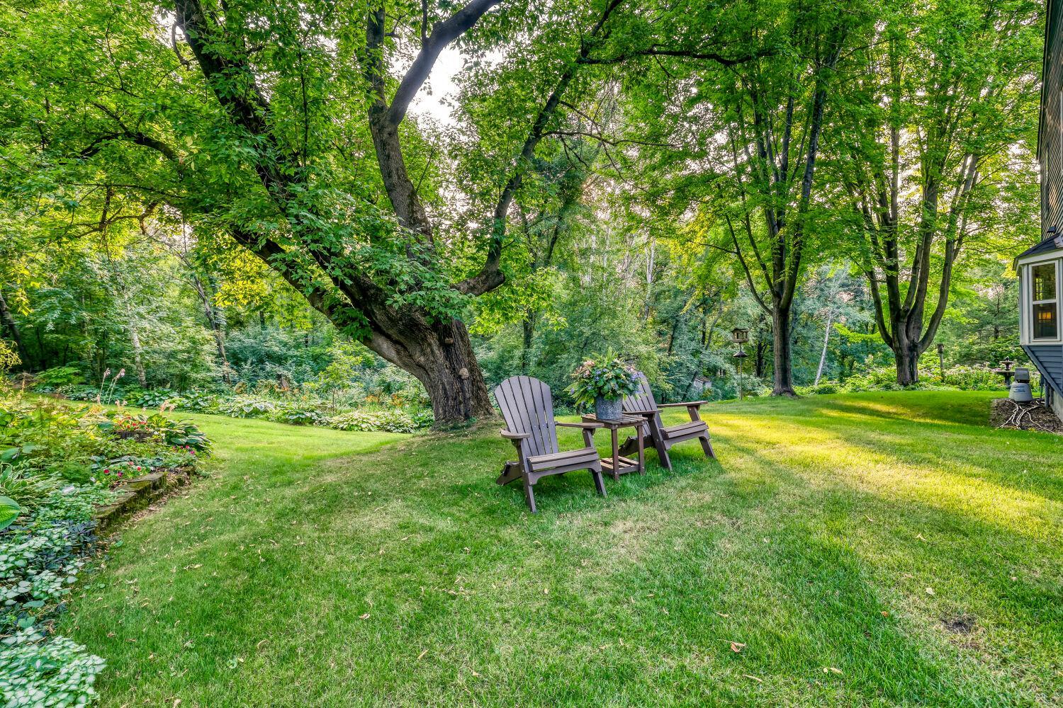 Sit right here and enjoy the stars at night or if you are lucky you'll see deer and other of natures pets.