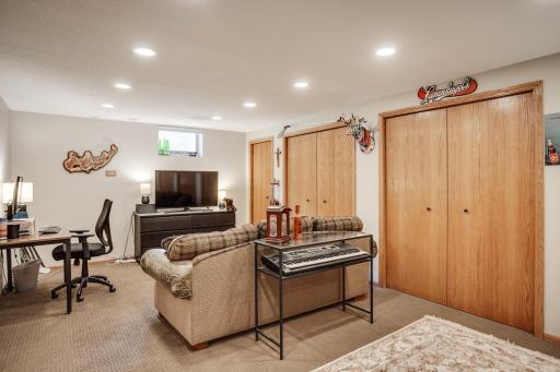 Lower Level Flex Room