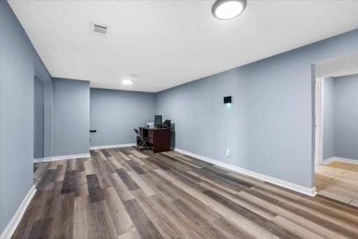 Lower Family Room 1054 County Rd 6, Stanchfield, MN, 55080 .jpg