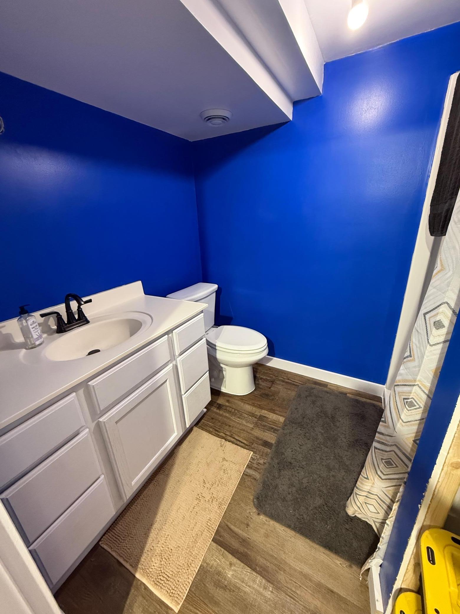 Lower level bathroom