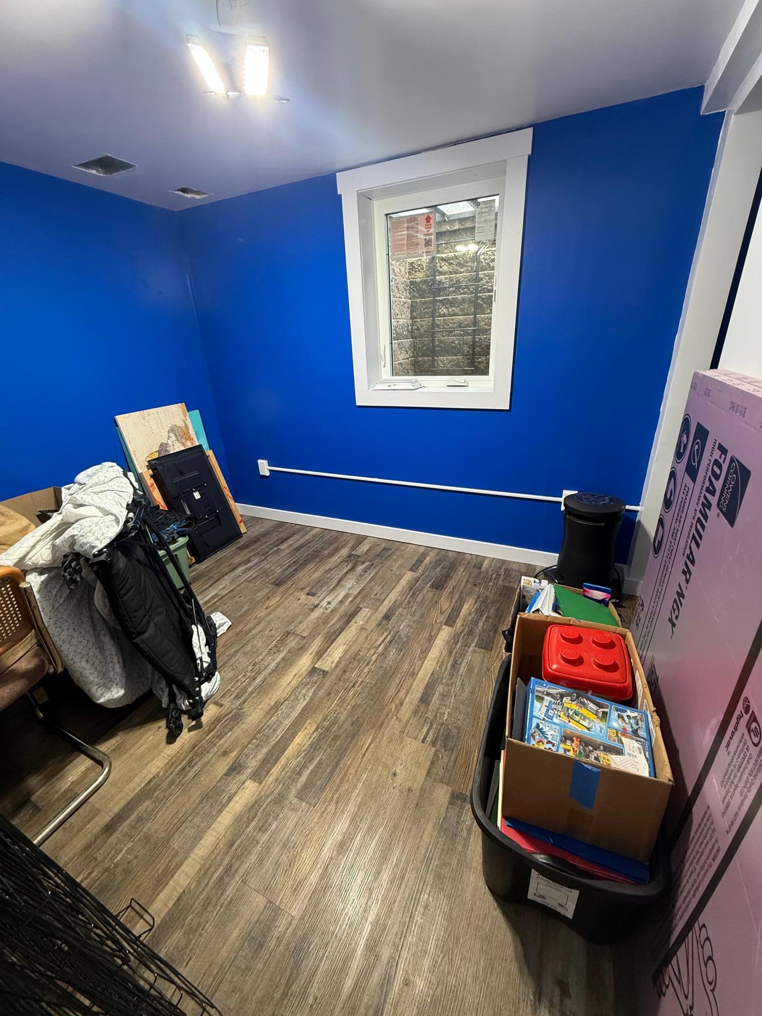 Lower level bedroom