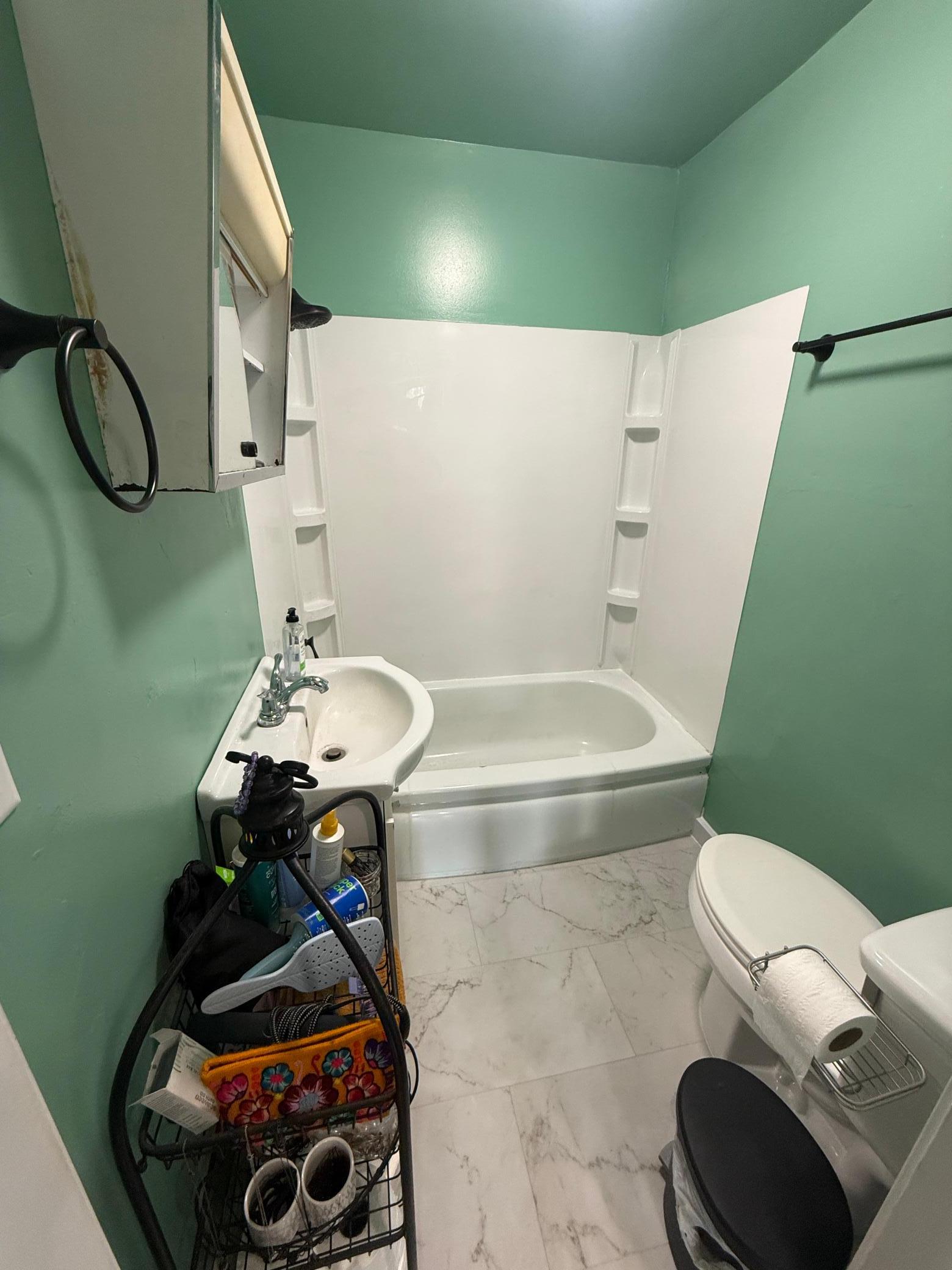 Main floor bathroom