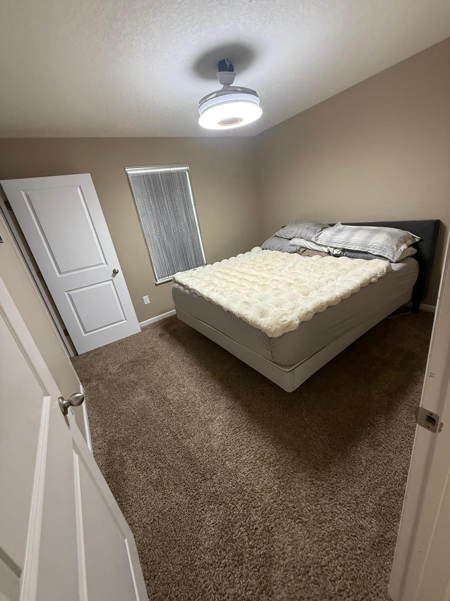 Photo 49