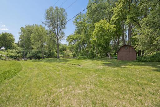 290 Rice Creek Fridley YARD.jpg