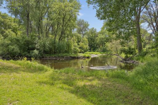 290 Rice Creek Fridley CREEK.jpg