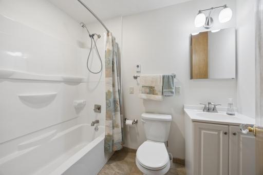 290 Rice Creek Fridley MAIN BATH.jpg