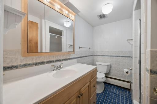 290 Rice Creek Fridley LOWER BATH.jpg
