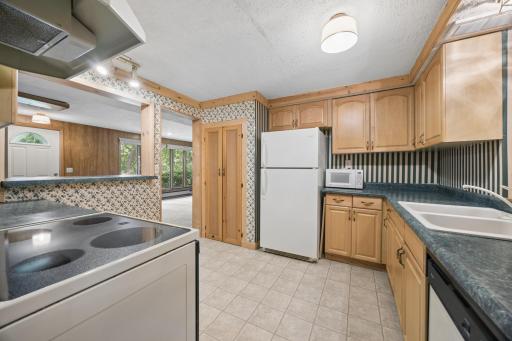 290 Rice Creek Fridley LOWER kitchen2.jpg