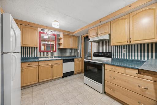 290 Rice Creek Fridley LOWER kitchen.jpg