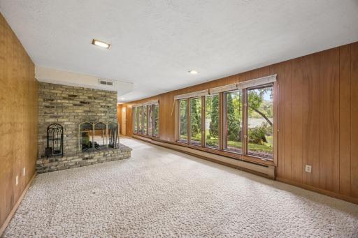 290 Rice Creek Fridley LOWER FIREPLACE.jpg