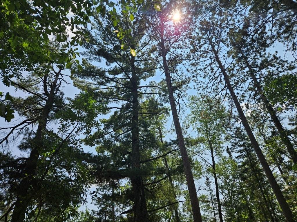 20260722_135450.jpg