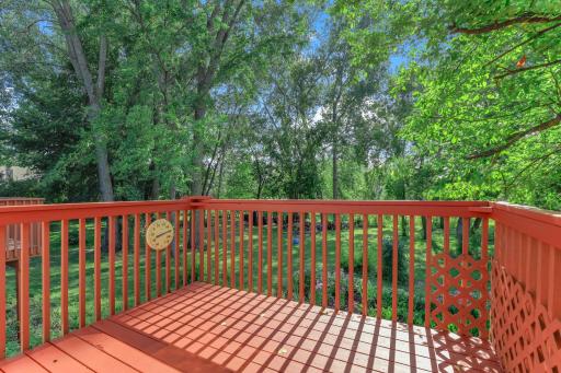 Western views from the deck over the big backyard! The deck also has stairs leading to the backyard!