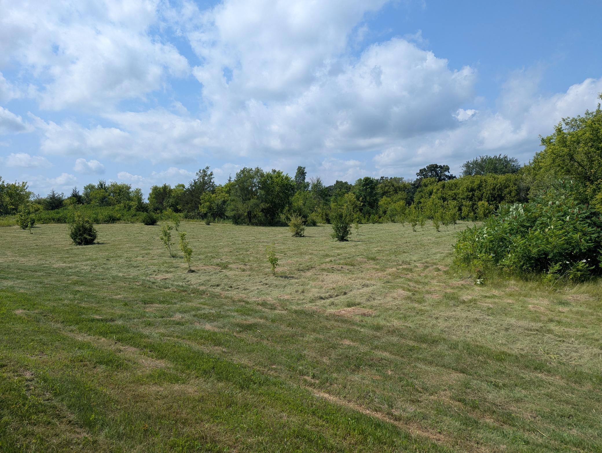 XXXX 619th Ave WiscLotNW.jpg