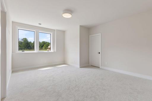 Third lower level bedroom