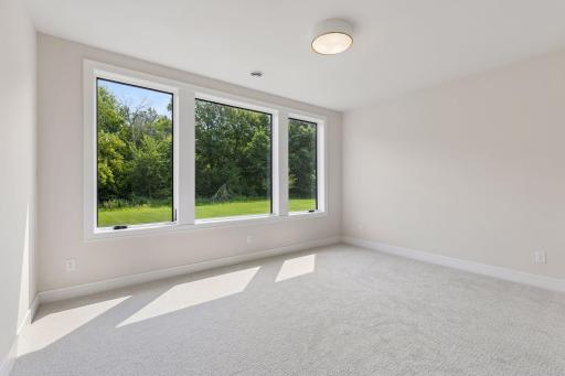 Second lower-level bedroom