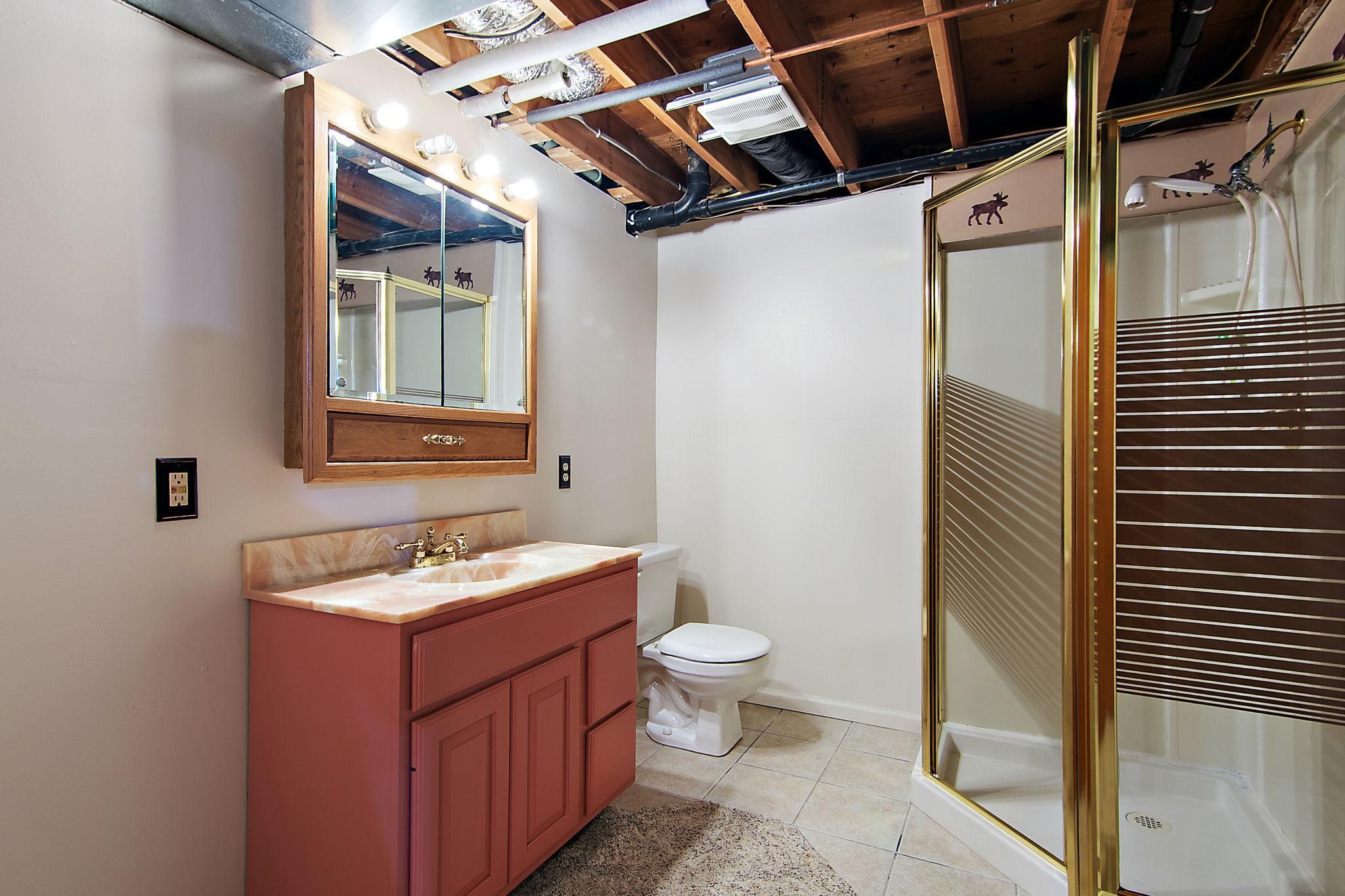 Lower level 3/4 bath