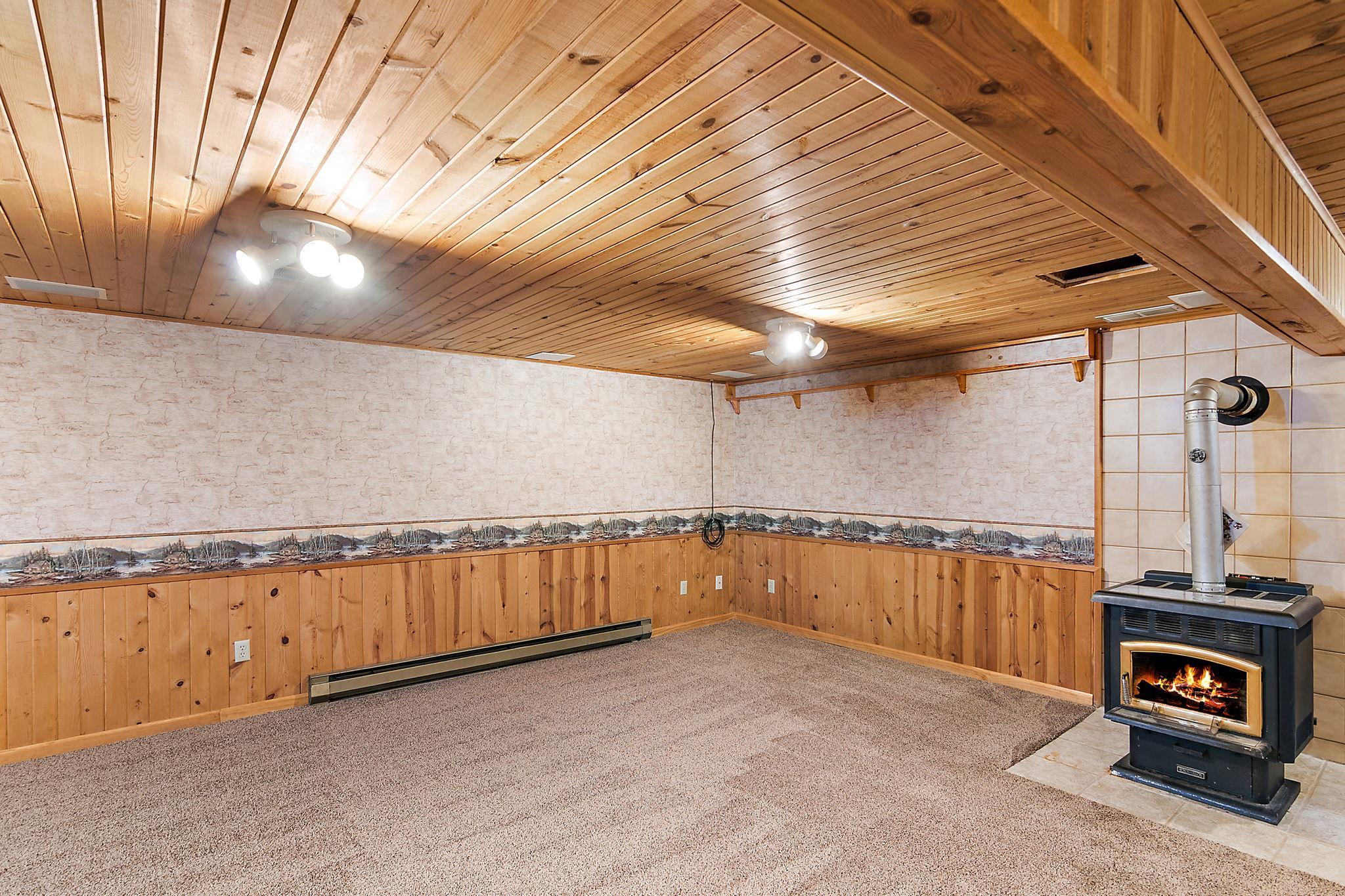 Lower level family room