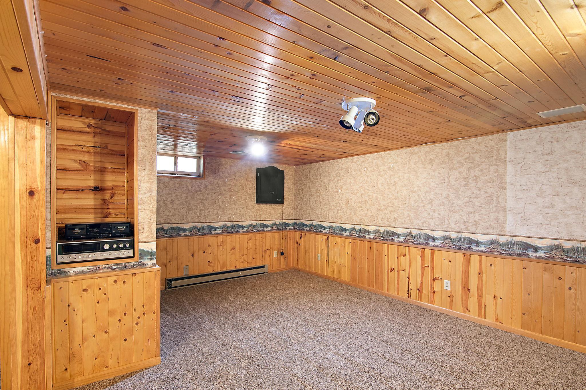 Lower level family room
