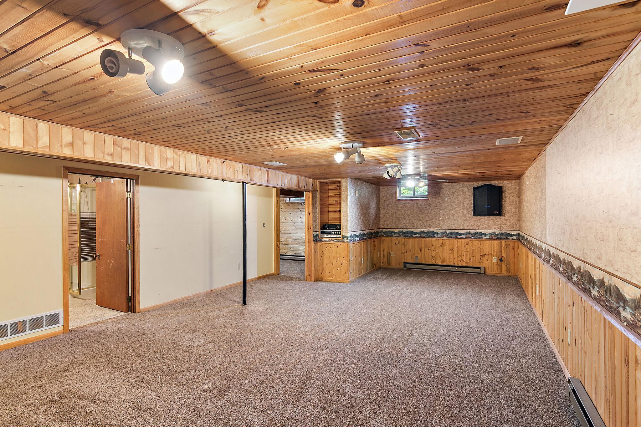 Lower level family room