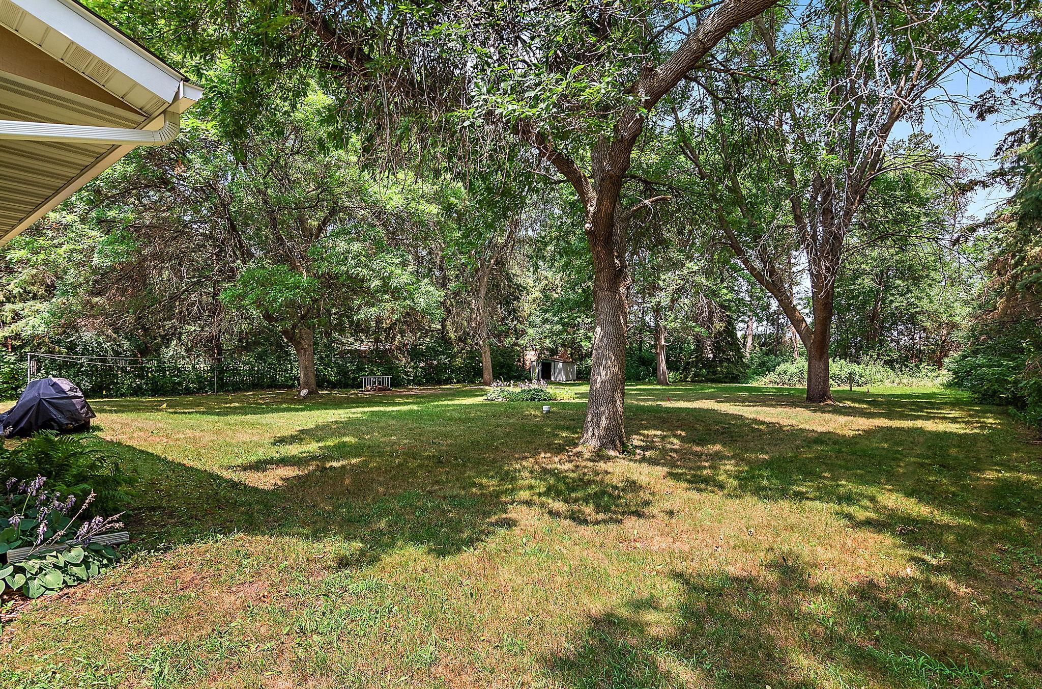 Spacious backyard