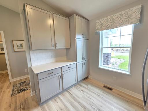 Lots of closets and pantry space will ensure that you have plenty of storage options. Photo is of actual home. Colors and options may vary. Ask Sales Agent for details.