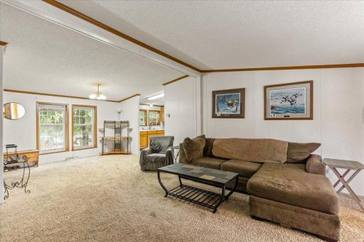 Family Room / Vaulted Ceilings