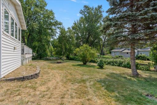 Expansive Back Yard