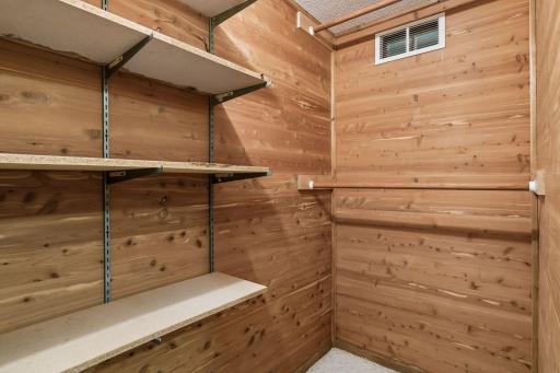 Cedar lined closet downstairs