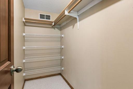 Bedroom 3 walk in closet