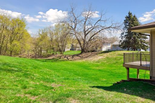 Expansive open space as a back yard