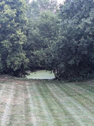 View to pond at rear