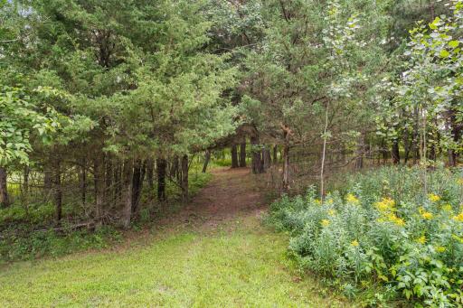 19543 Naples Street NE, Cedar, MN 55011