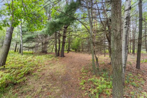 19543 Naples Street NE, Cedar, MN 55011
