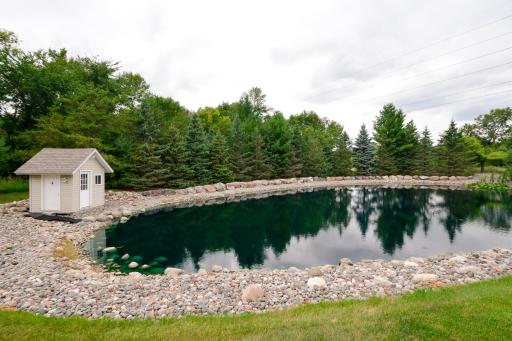 Pond