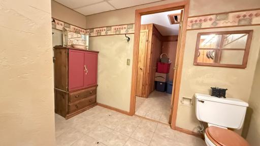 Bathroom Lower Level