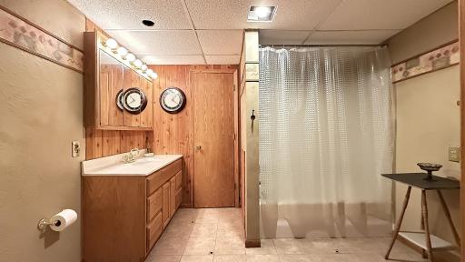Full Bathroom in Basement