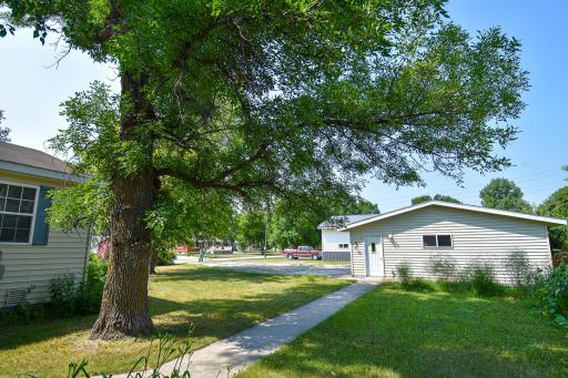 DSC_6177.jpg