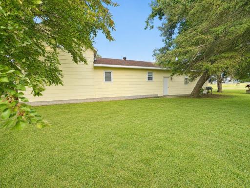 13 Backyard.jpg