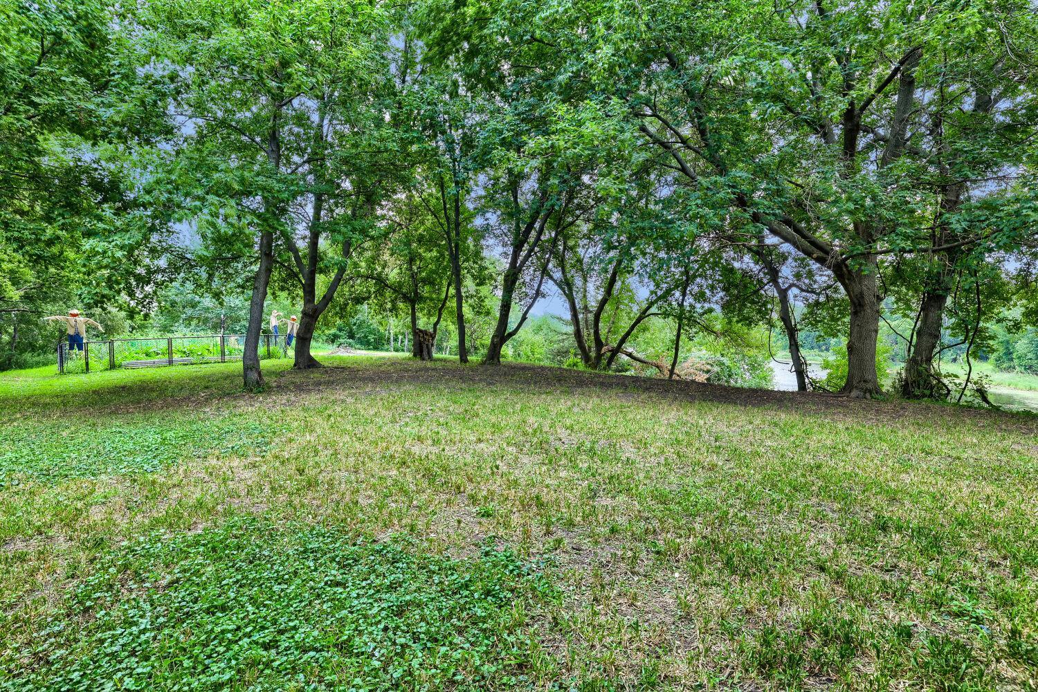 88 Backyard.jpg